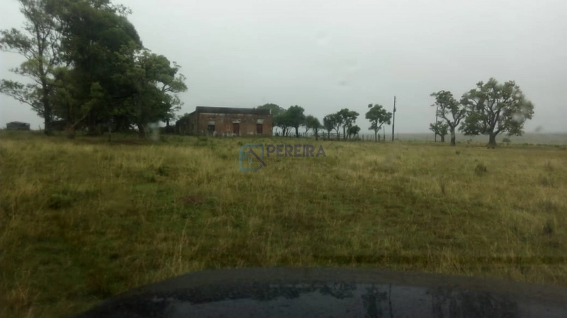 Campo no Coxília Negra em Livramento: 2ª foto da galeria de imagens do imóvel