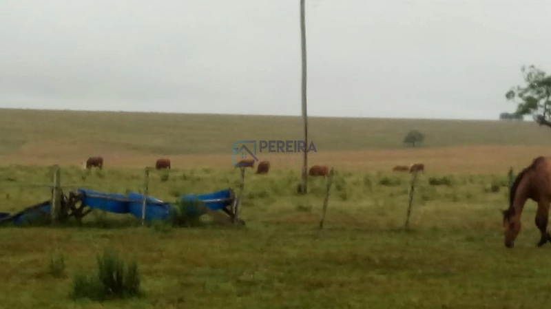 Campo no Coxília Negra em Livramento: 7ª foto da galeria de imagens do imóvel
