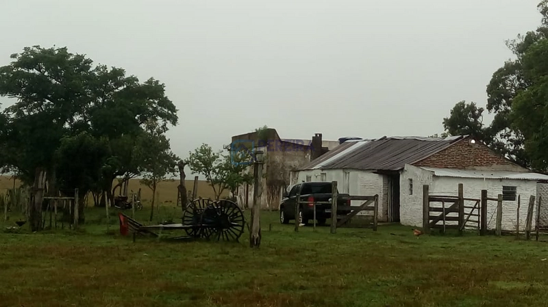 Campo no Coxília Negra em Livramento: 1ª foto da galeria de imagens do imóvel