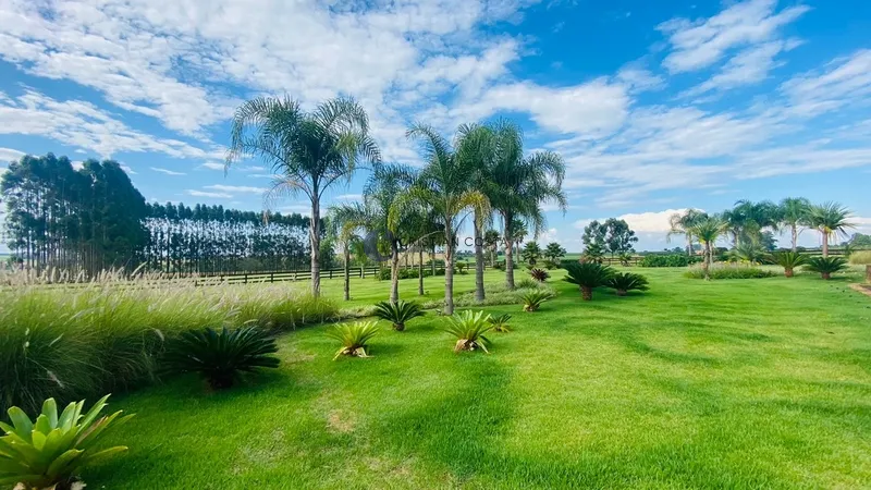 Haras de 4,4 alqueires em São Carlos/SP.: 99ª foto da galeria de imagens do imóvel
