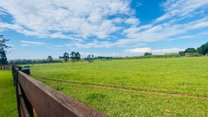 Haras de 4,4 alqueires em São Carlos/SP.: 87ª foto da galeria de imagens do imóvel