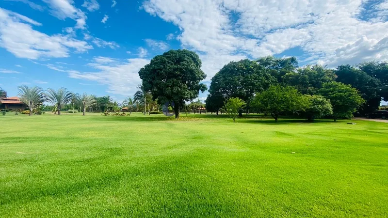 Haras de 4,4 alqueires em São Carlos/SP.: 86ª foto da galeria de imagens do imóvel