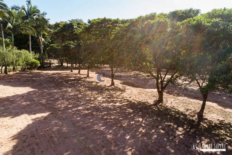 CHÁCARA COM 24.800M² DE ÁREA TOTAL NA CIDADE DE DESCALVADO/SP: 16ª foto da galeria de imagens do imóvel