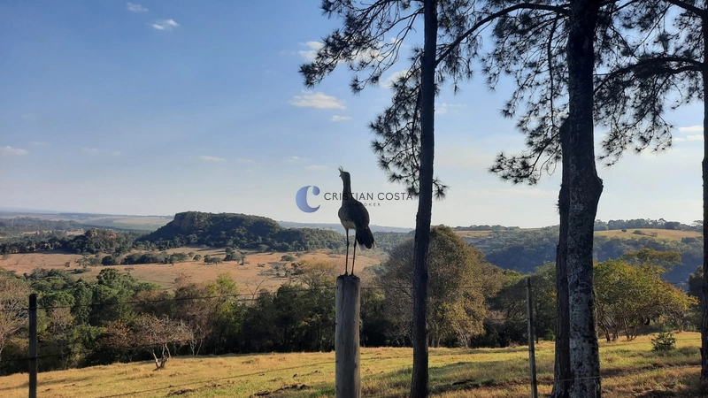 Chácara de 45.700 m² no Condomínio Parque Itaipu em São Carlos/SP: 13ª foto da galeria de imagens do imóvel