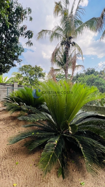 Chácara 6.575 m² no cond. Tibaia de São Fernando II em São Carlos/SP: 61ª foto da galeria de imagens do imóvel