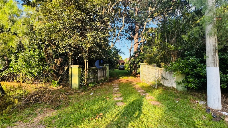 Chácara de 5000m² no Varjão em São Carlos/SP.: 7ª foto da galeria de imagens do imóvel