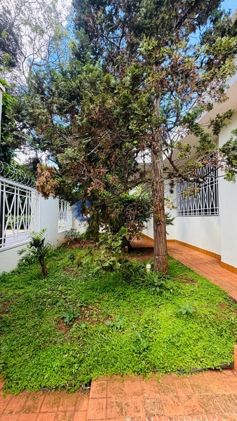 Casa de 5 dormitórios no Parque Santa Mônica em São Carlos/SP.: 3ª foto da galeria de imagens do imóvel