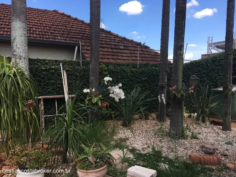 CASA RESIDENCIAL E COMERCIAL NO CENTRO DE ARARAQUARA/SP: 25ª foto da galeria de imagens do imóvel