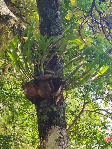 CHÁCARA DE 900 M² NA REPRESA DO BROA EM ITIRAPINA/SP: 23ª foto da galeria de imagens do imóvel