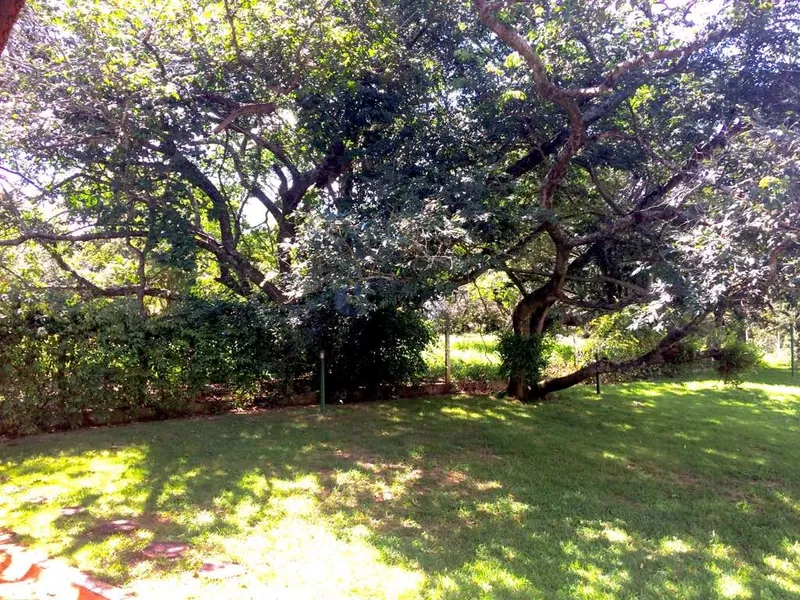 CHÁCARA DE 10.000M NO RECREIO DE CAMPESTRE EM SÃO CARLOS/SP: 23ª foto da galeria de imagens do imóvel