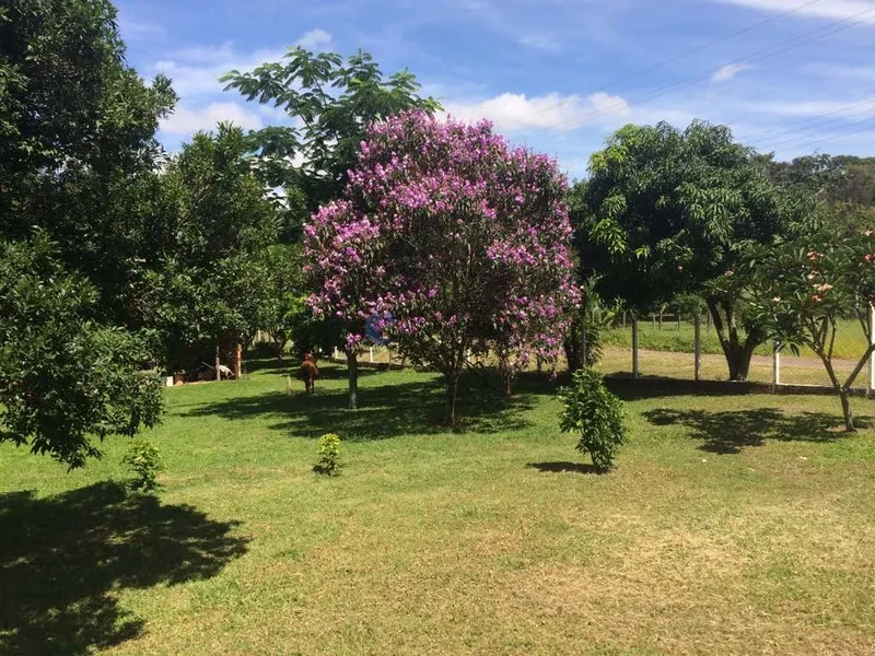 CHÁCARA DE 10.000M NO RECREIO DE CAMPESTRE EM SÃO CARLOS/SP: 27ª foto da galeria de imagens do imóvel