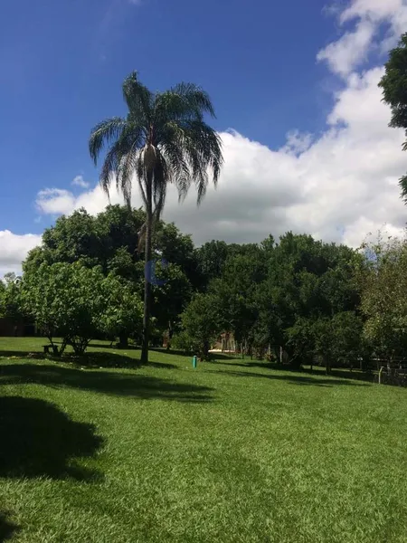 CHÁCARA DE 10.000M NO RECREIO DE CAMPESTRE EM SÃO CARLOS/SP: 28ª foto da galeria de imagens do imóvel