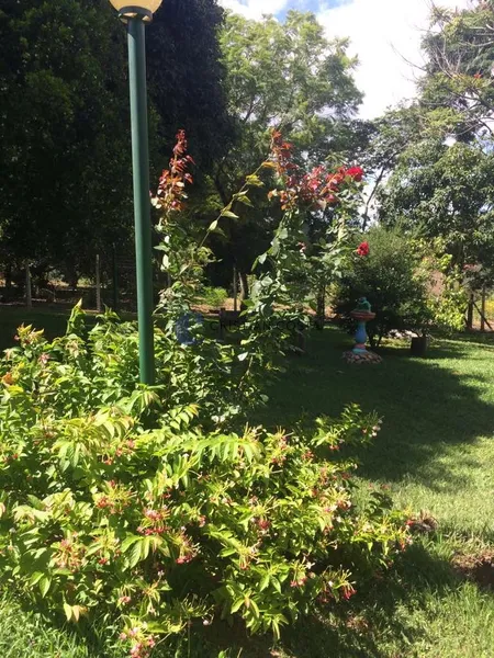 CHÁCARA DE 10.000M NO RECREIO DE CAMPESTRE EM SÃO CARLOS/SP: 33ª foto da galeria de imagens do imóvel
