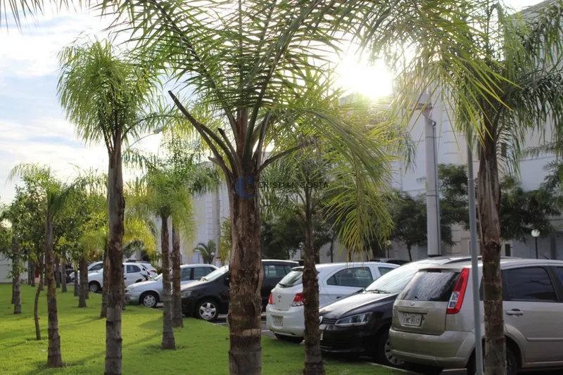 APARTAMENTO DE 2 DORMITORIOS NO PARQUE FEHR EM SÃO CARLOS/SP: 10ª foto da galeria de imagens do imóvel