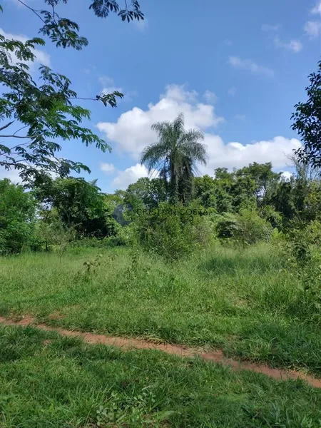 SÍTIO DE 6,45 ALQUEIRES DISTRITO SANTA EUDÓXIA EM SÃO CARLOS/SP: 10ª foto da galeria de imagens do imóvel