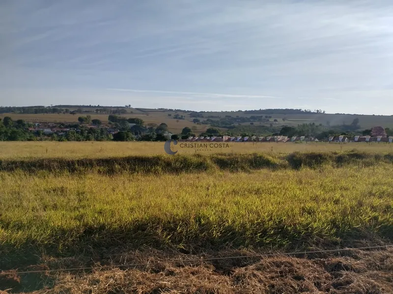 SÍTIO DE 6,45 ALQUEIRES DISTRITO SANTA EUDÓXIA EM SÃO CARLOS/SP: 7ª foto da galeria de imagens do imóvel