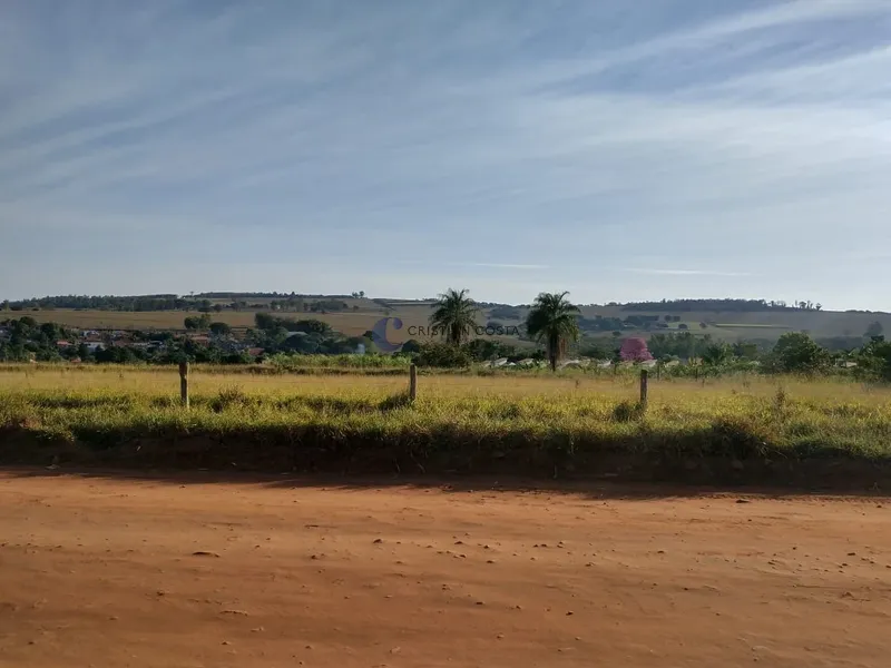 SÍTIO DE 6,45 ALQUEIRES DISTRITO SANTA EUDÓXIA EM SÃO CARLOS/SP: 2ª foto da galeria de imagens do imóvel