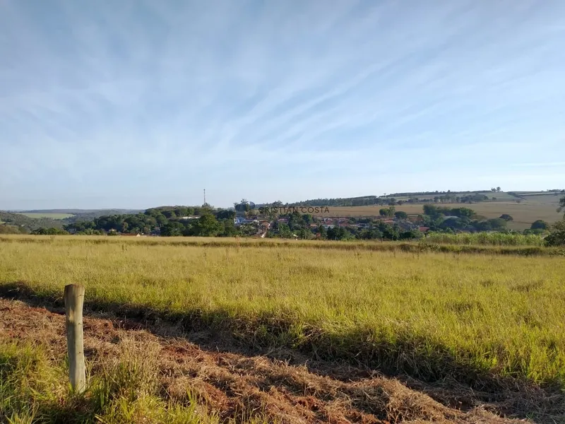 SÍTIO DE 6,45 ALQUEIRES DISTRITO SANTA EUDÓXIA EM SÃO CARLOS/SP: 4ª foto da galeria de imagens do imóvel
