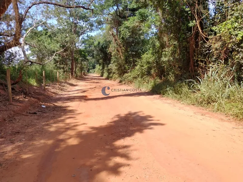 SÍTIO DE 6,45 ALQUEIRES DISTRITO SANTA EUDÓXIA EM SÃO CARLOS/SP: 8ª foto da galeria de imagens do imóvel