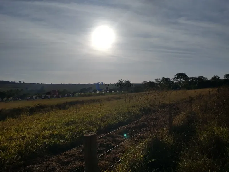 SÍTIO DE 6,45 ALQUEIRES DISTRITO SANTA EUDÓXIA EM SÃO CARLOS/SP: 1ª foto da galeria de imagens do imóvel