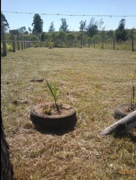 TERRENO PLANO EM ARARICÁ: 5ª foto da galeria de imagens do imóvel