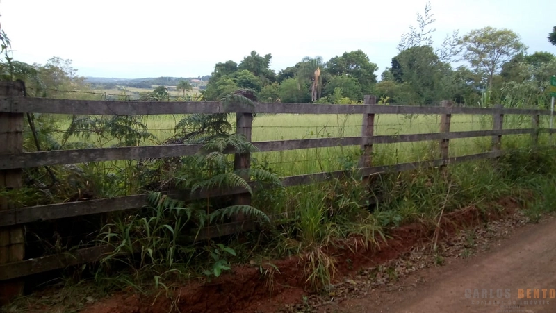 Sítio em São João do Deserto - Lomba Grande com área de 10.000 m²: 2ª foto da galeria de imagens do imóvel