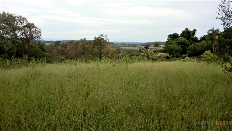 Sítio em São João do Deserto - Lomba Grande com área de 10.000 m²: 3ª foto da galeria de imagens do imóvel
