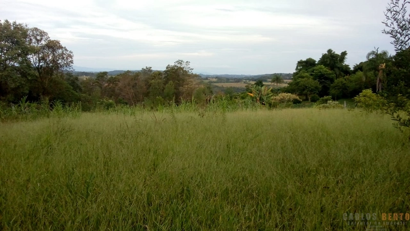 Sítio em São João do Deserto - Lomba Grande com área de 10.000 m²: 5ª foto da galeria de imagens do imóvel