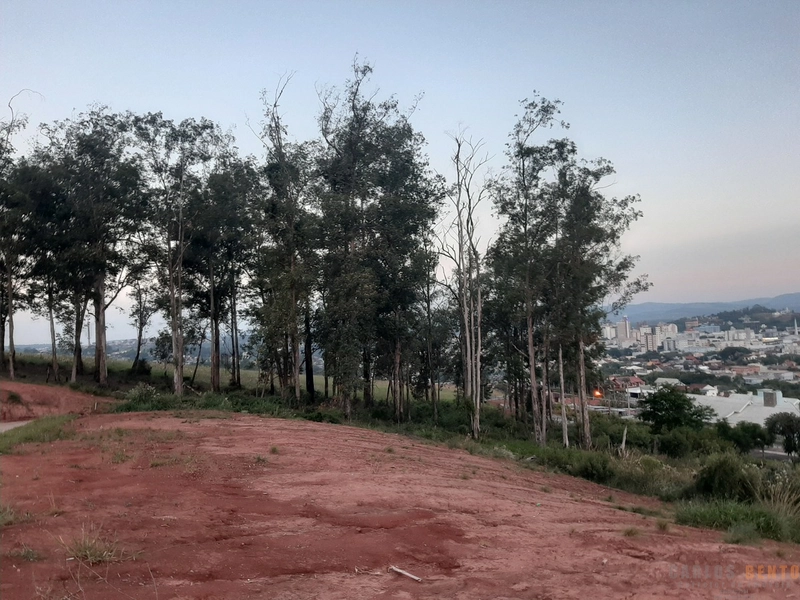 TERRENO NO MORADAS DA COLINA - CAMPO BOM: 2ª foto da galeria de imagens do imóvel