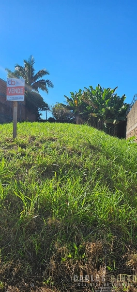 SUPER TERRENO - CATLÉIA EM CAMPO BOM: 7ª foto da galeria de imagens do imóvel