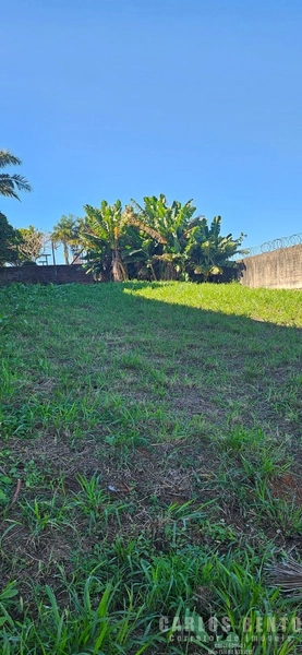 SUPER TERRENO - CATLÉIA EM CAMPO BOM: 8ª foto da galeria de imagens do imóvel