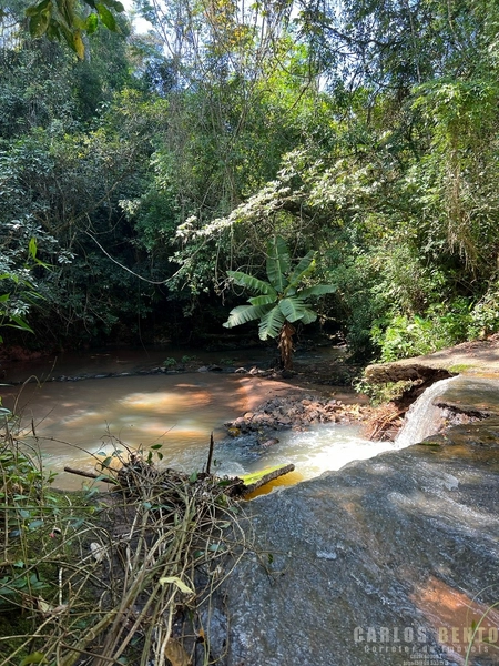 EXCELENTE LOTE COM 36.000 M² - CAMPO BOM - ZONA INDUSTRIAL NORTE: 15ª foto da galeria de imagens do imóvel