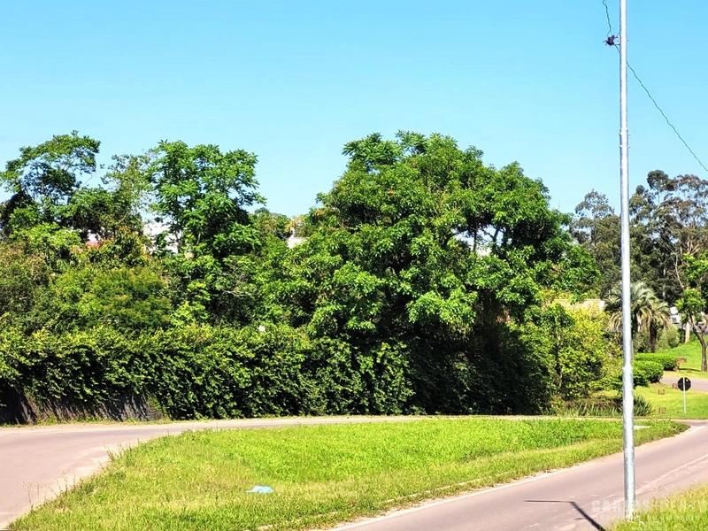 EXCELENTE LOTE COM 36.000 M² - CAMPO BOM - ZONA INDUSTRIAL NORTE: 21ª foto da galeria de imagens do imóvel