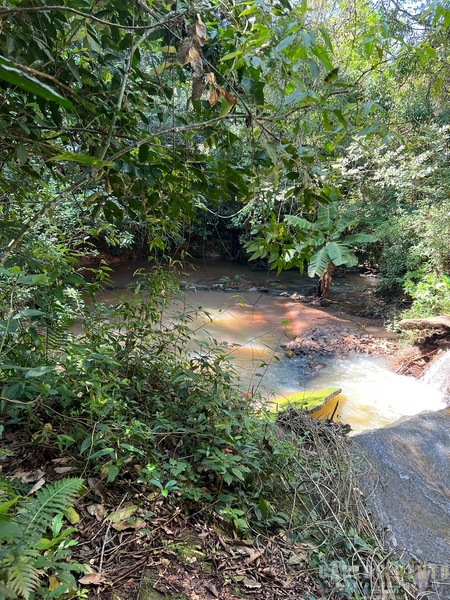 EXCELENTE LOTE COM 36.000 M² - CAMPO BOM - ZONA INDUSTRIAL NORTE: 7ª foto da galeria de imagens do imóvel