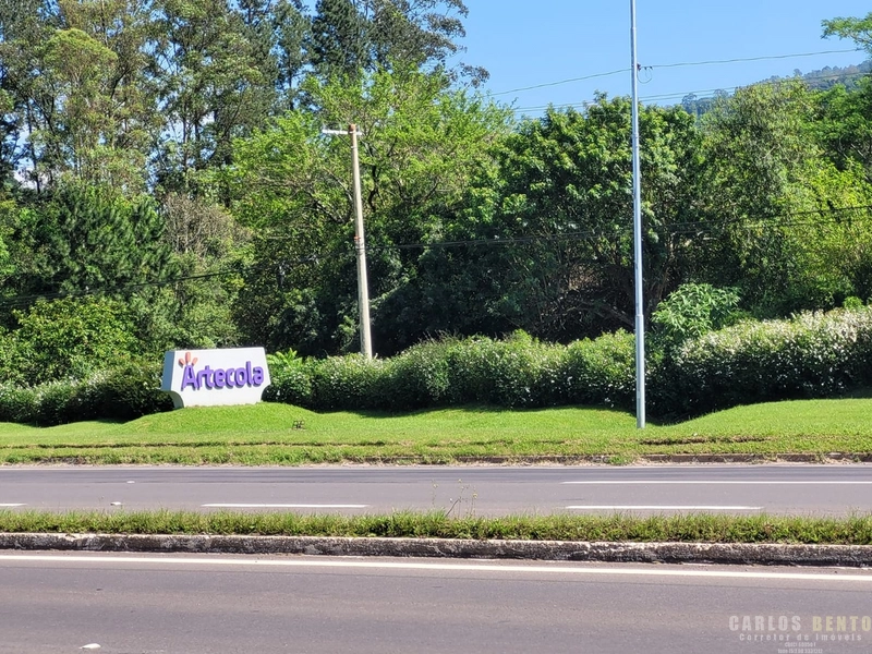EXCELENTE LOTE COM 36.000 M² - CAMPO BOM - ZONA INDUSTRIAL NORTE: 17ª foto da galeria de imagens do imóvel