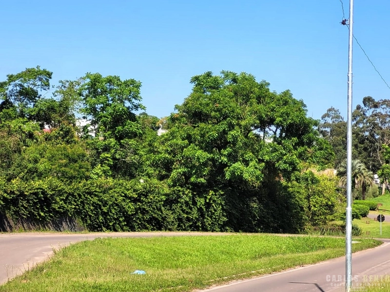 EXCELENTE LOTE COM 36.000 M² - CAMPO BOM - ZONA INDUSTRIAL NORTE: 1ª foto da galeria de imagens do imóvel