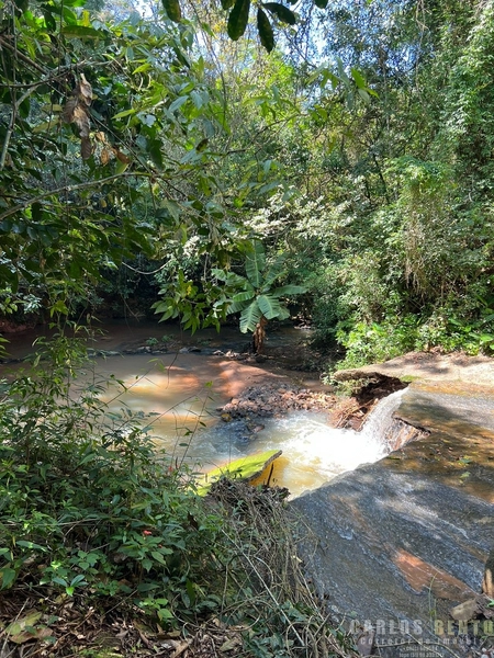EXCELENTE LOTE COM 36.000 M² - CAMPO BOM - ZONA INDUSTRIAL NORTE: 10ª foto da galeria de imagens do imóvel