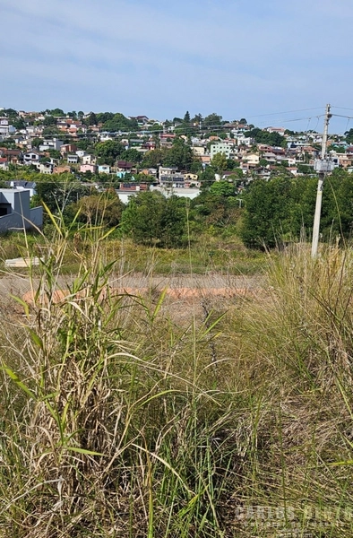 TERRENO COM 12 METROS FRENTE - CAMPO BOM: 3ª foto da galeria de imagens do imóvel