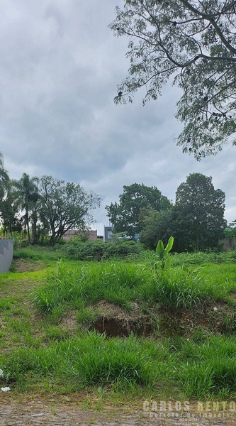 BELÍSSIMO TERRENO EM ZONA NOBRE CAMPO BOM: 3ª foto da galeria de imagens do imóvel