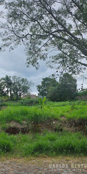 BELÍSSIMO TERRENO EM ZONA NOBRE CAMPO BOM: 2ª foto da galeria de imagens do imóvel