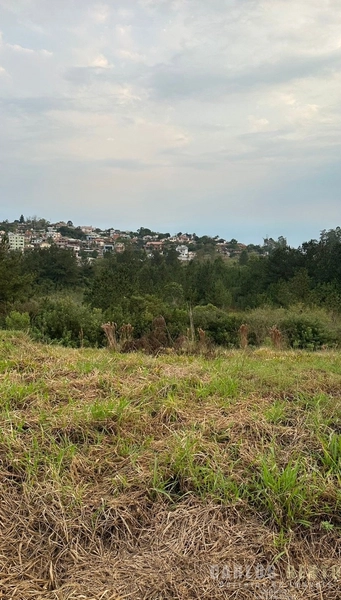 TERRENO A VENDA NO VISTA ALEGRE - CAMPO BOM: 2ª foto da galeria de imagens do imóvel