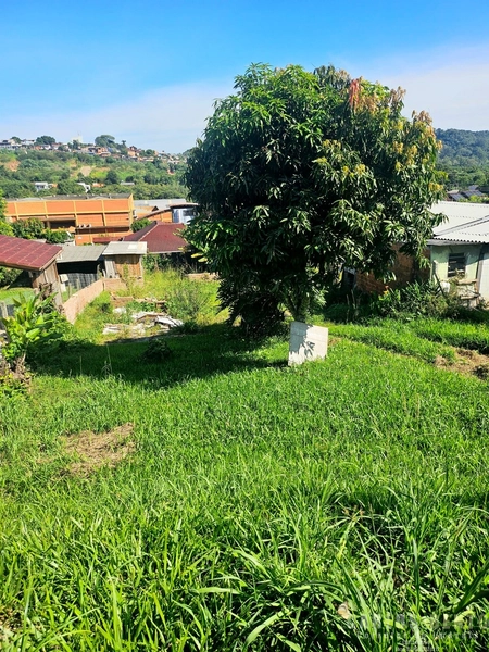 TERRENO  COM 522M² DE ÁREA TOTAL: 2ª foto da galeria de imagens do imóvel
