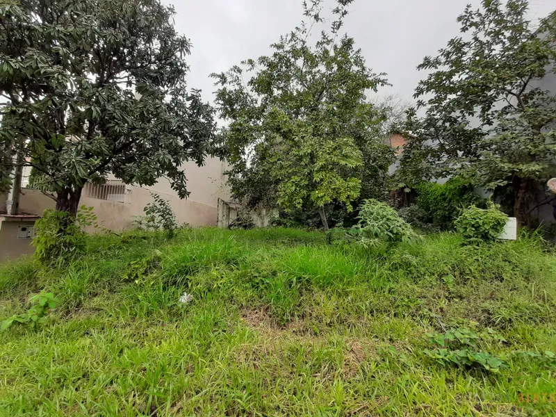 TERRENO BAIRRO IDEAL NHO: 1ª foto da galeria de imagens do imóvel