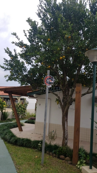 : 11ª foto da galeria de imagens do imóvel
