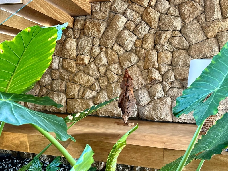 Casa em Condomínio à venda com 722m², Bosques de Atlântida Xangrila: 10ª foto da galeria de imagens do imóvel