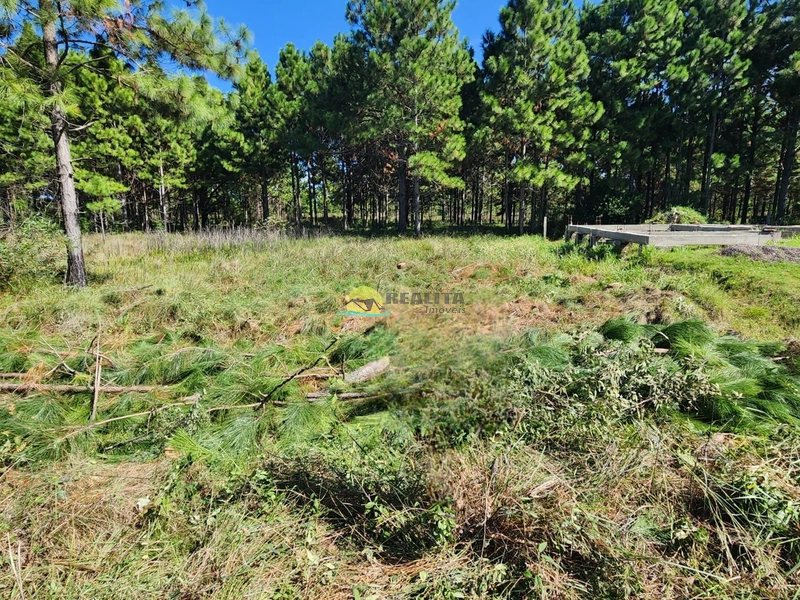 TERRENO COM ENTRADA + SALDO DIRETO: 6ª foto da galeria de imagens do imóvel