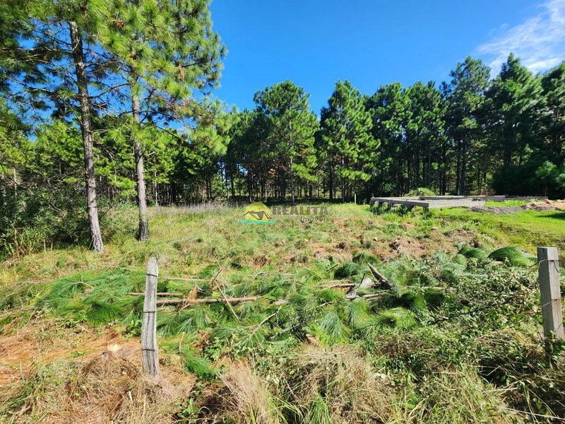 TERRENO COM ENTRADA + SALDO DIRETO: 1ª foto da galeria de imagens do imóvel