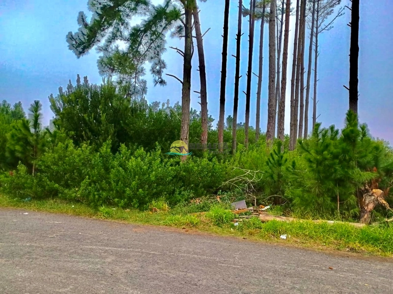 TERRENO NO VILLAGE!!: 3ª foto da galeria de imagens do imóvel