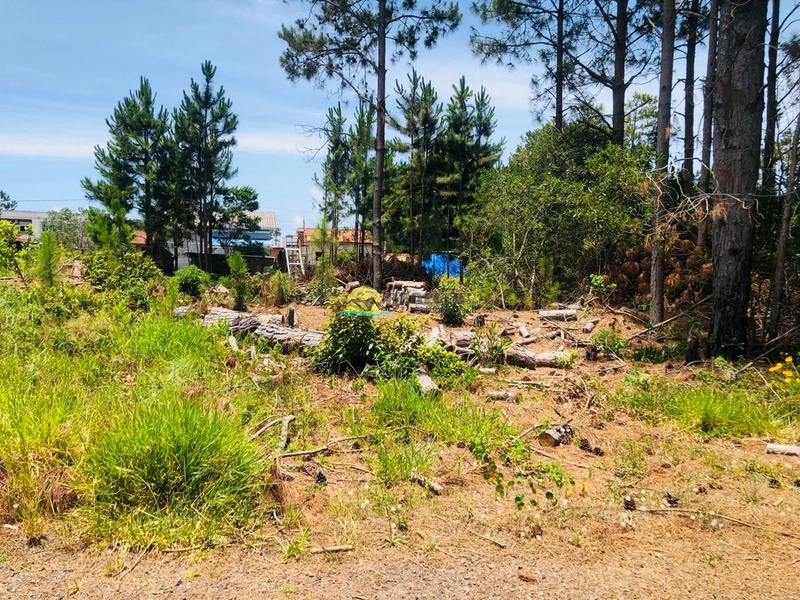 Excelente Terreno para Investimento!!