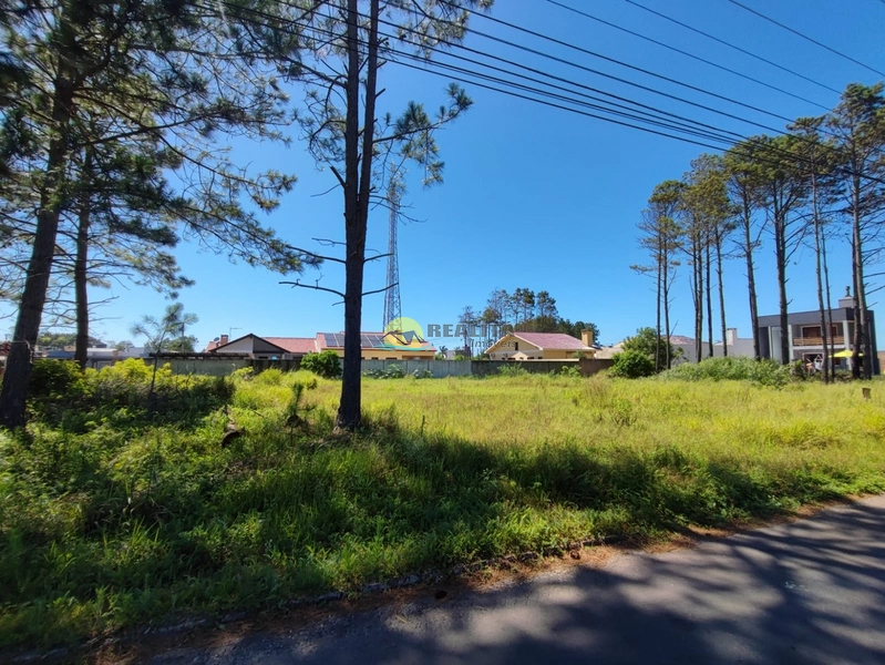 Excelente Terreno para INVESTIMENTO!!: 2ª foto da galeria de imagens do imóvel